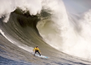 开云体育官方网站-王权之镰与鹰翼坠落，福克斯的救赎之路