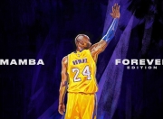 开云体育APP下载-伊布持续制造杀伤，乌克兰战术纪律险胜几内亚狂野冲击