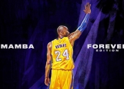 开云体育官网-卡瓦哈尔刷新纪录之夜，土耳其战术完胜希腊的启示