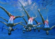 开云体育官方网站-赛道上的无声革命，汉密尔顿如何带领梅赛德斯轻取法拉利