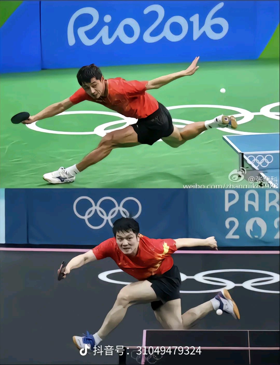 比利时乒乓球队完胜韩国乒乓球队，张继科关键制胜的简单介绍