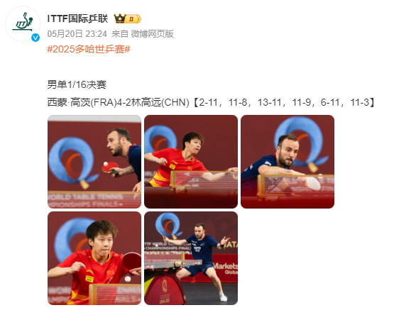 瑞典队险胜法国队，林高远关键制胜的简单介绍